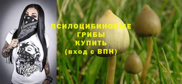 соль ск Волосово