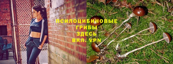 соль ск Волосово